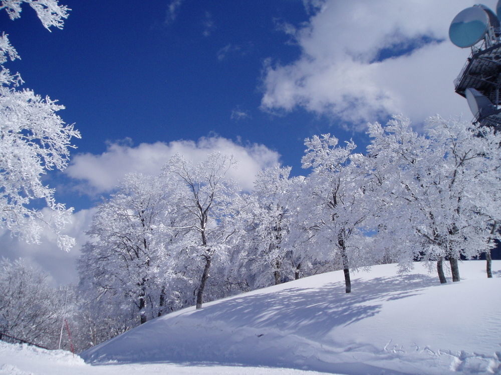 Lodge Matsuya Nozawaonsen Exterior foto