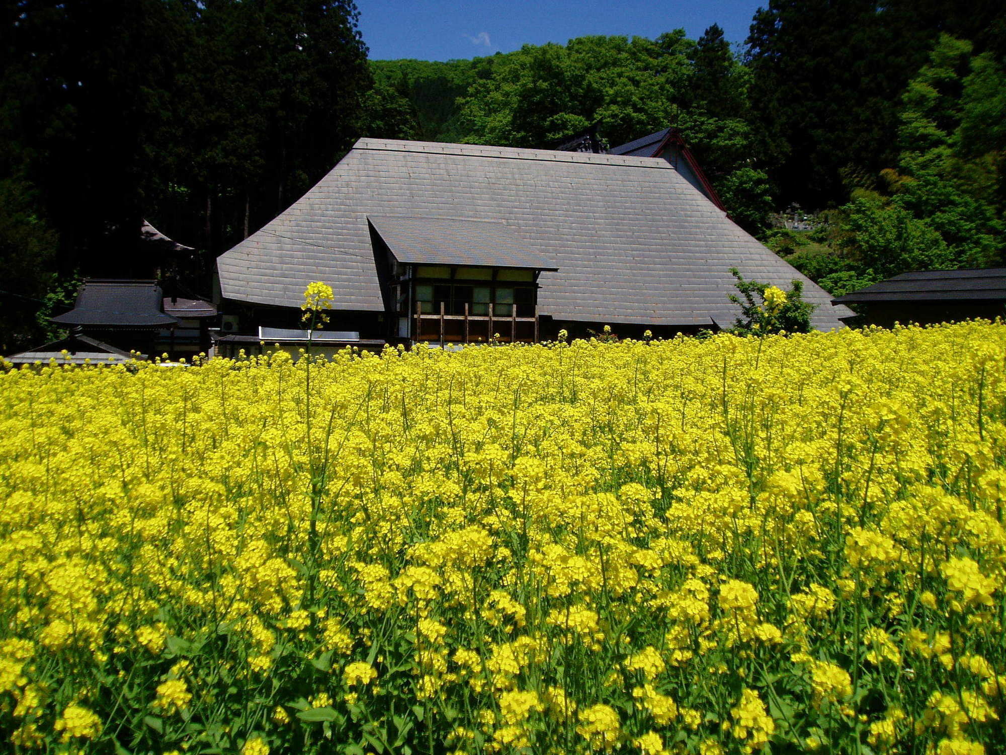 Lodge Matsuya Nozawaonsen Exterior foto